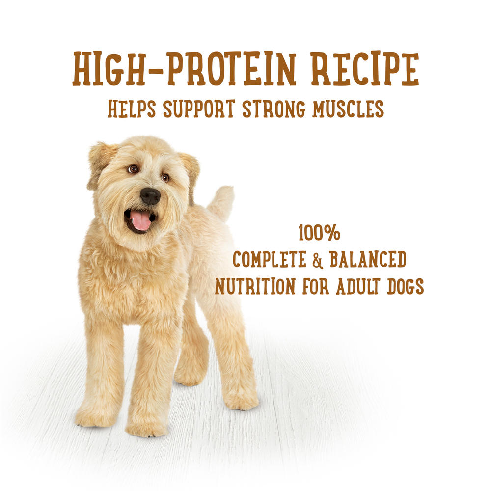 Beneful® Prepared Meals Wet Dog Food Variety Pack - 6 Pack
