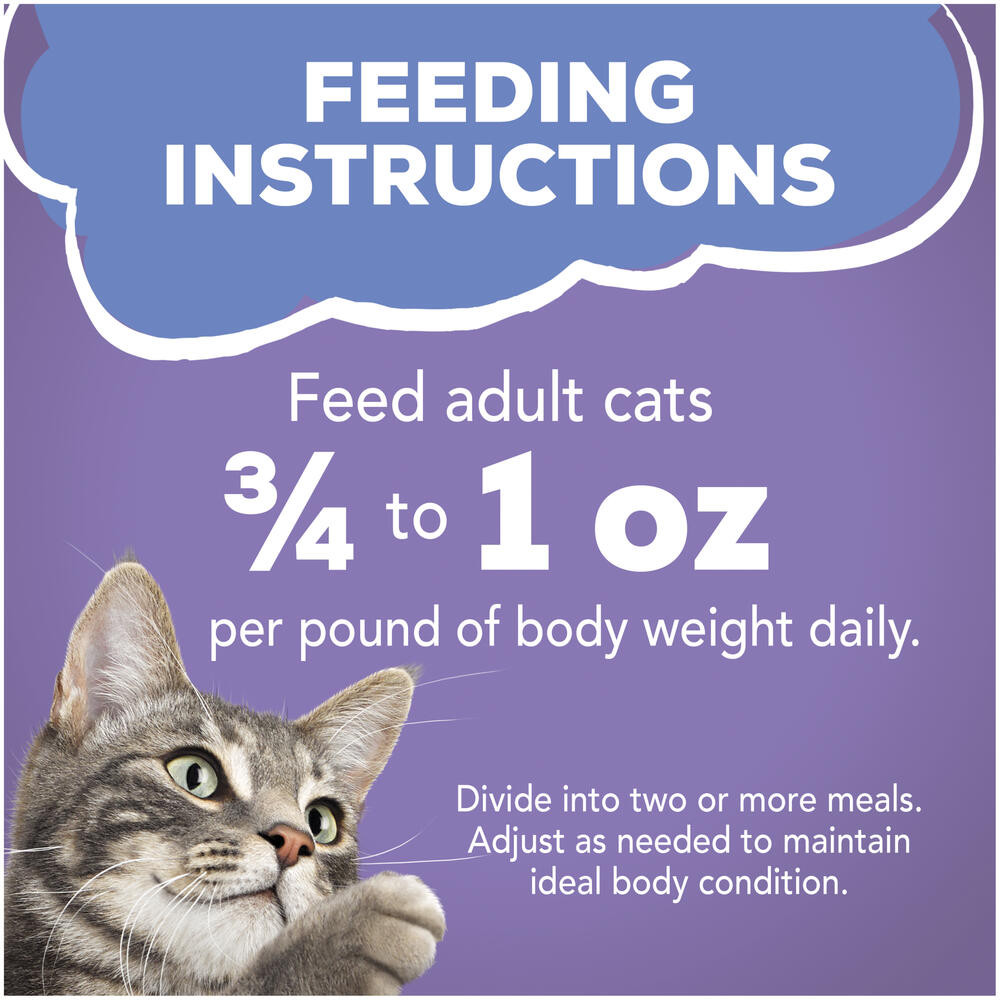 Friskies® Savory Shreds Turkey & Cheese Dinner in Gravy Wet Cat Food - 5.5 oz