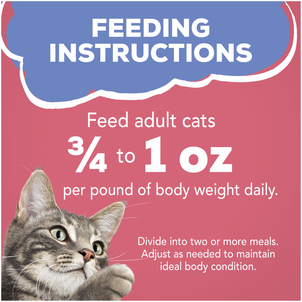 Friskies Savory Shreds with Salmon in Sauce Wet Cat Food - 5.5 oz