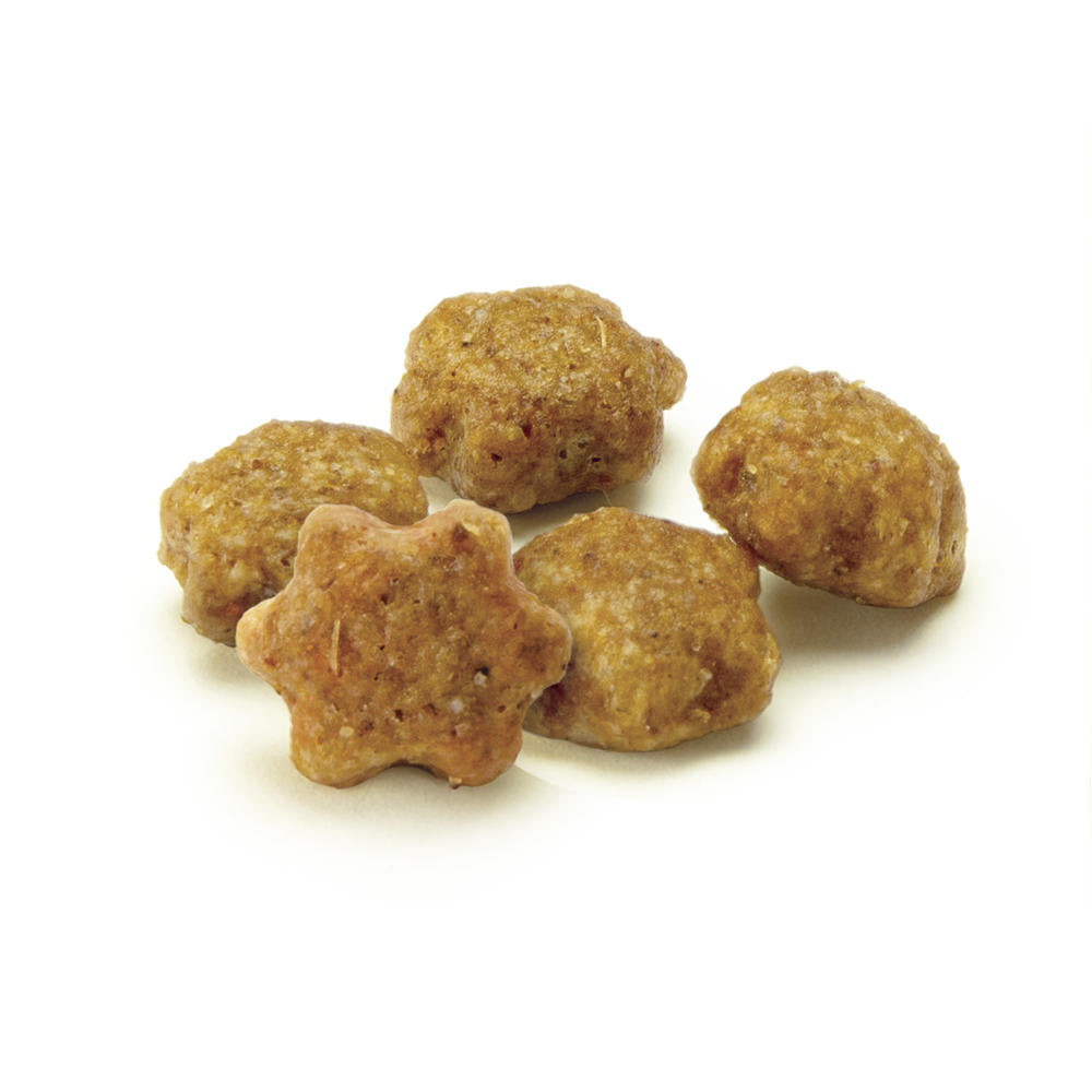 Fruitables Chicken with Blueberry Crunchy Cat Treats - 2.5 oz