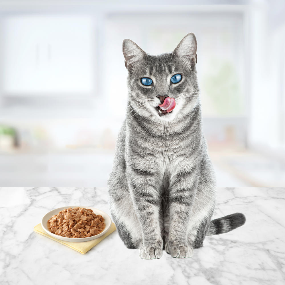 BLUE™ Tastefuls™ Entrees in Gravy Variety Pack Flaked Wet Cat Food - 24 Pack