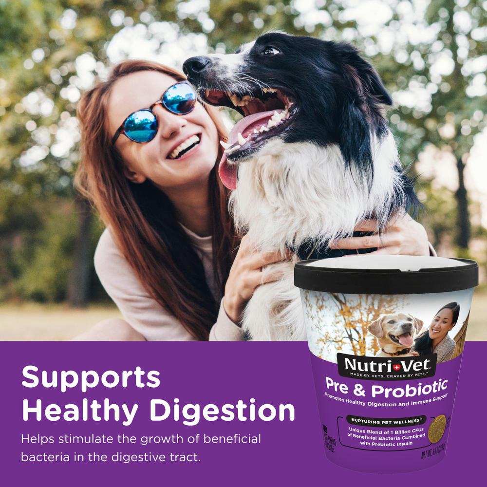 PreviousNext Nutri-Vet Pre & Probiotic Pet Soft Chews - 120 ct