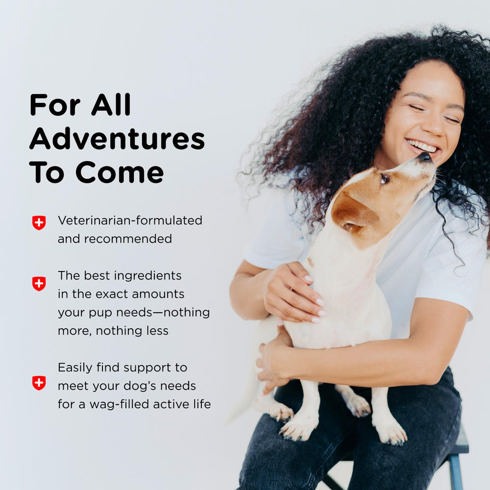 PreviousNext Nutri-Vet Pre & Probiotic Pet Soft Chews - 120 ct