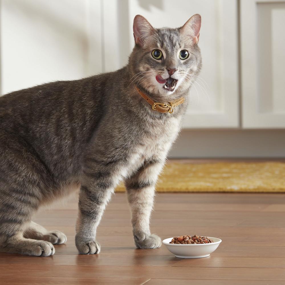 Meow Mix® Tenders in Sauce Wet Cat Food With Real Salmon & Crab - 2.75 oz