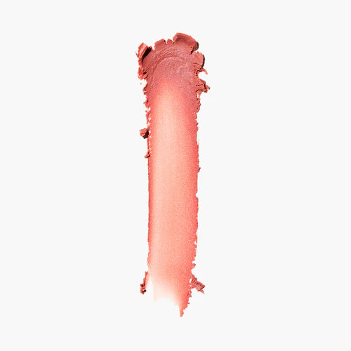The Lippie Stick Tinted To Perfection