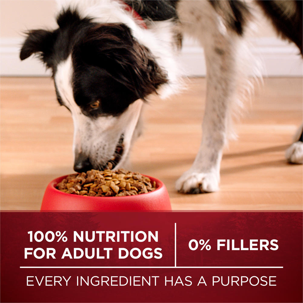 Purina ONE SmartBlend® True Instinct with Turkey & Venison Dry Dog Food - 27.5 lb.