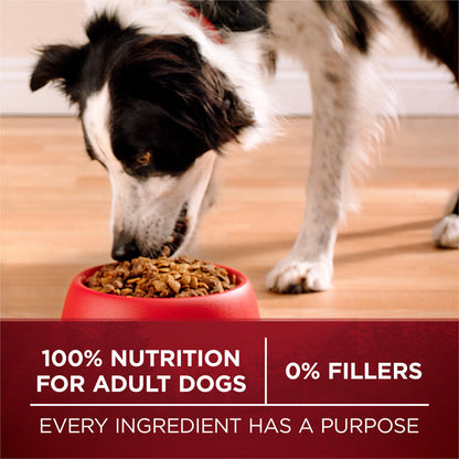 Purina ONE SmartBlend® True Instinct with Turkey & Venison Dry Dog Food - 27.5 lb.