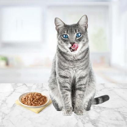 BLUE™ Tastefuls™ Entrees in Gravy Variety Pack Flaked Wet Cat Food - 24 Pack