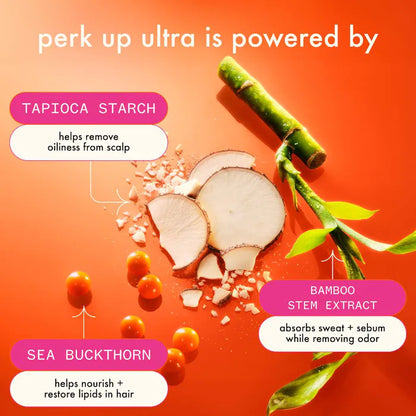 amika  Perk Up Ultra Oil Control Dry Shampoo